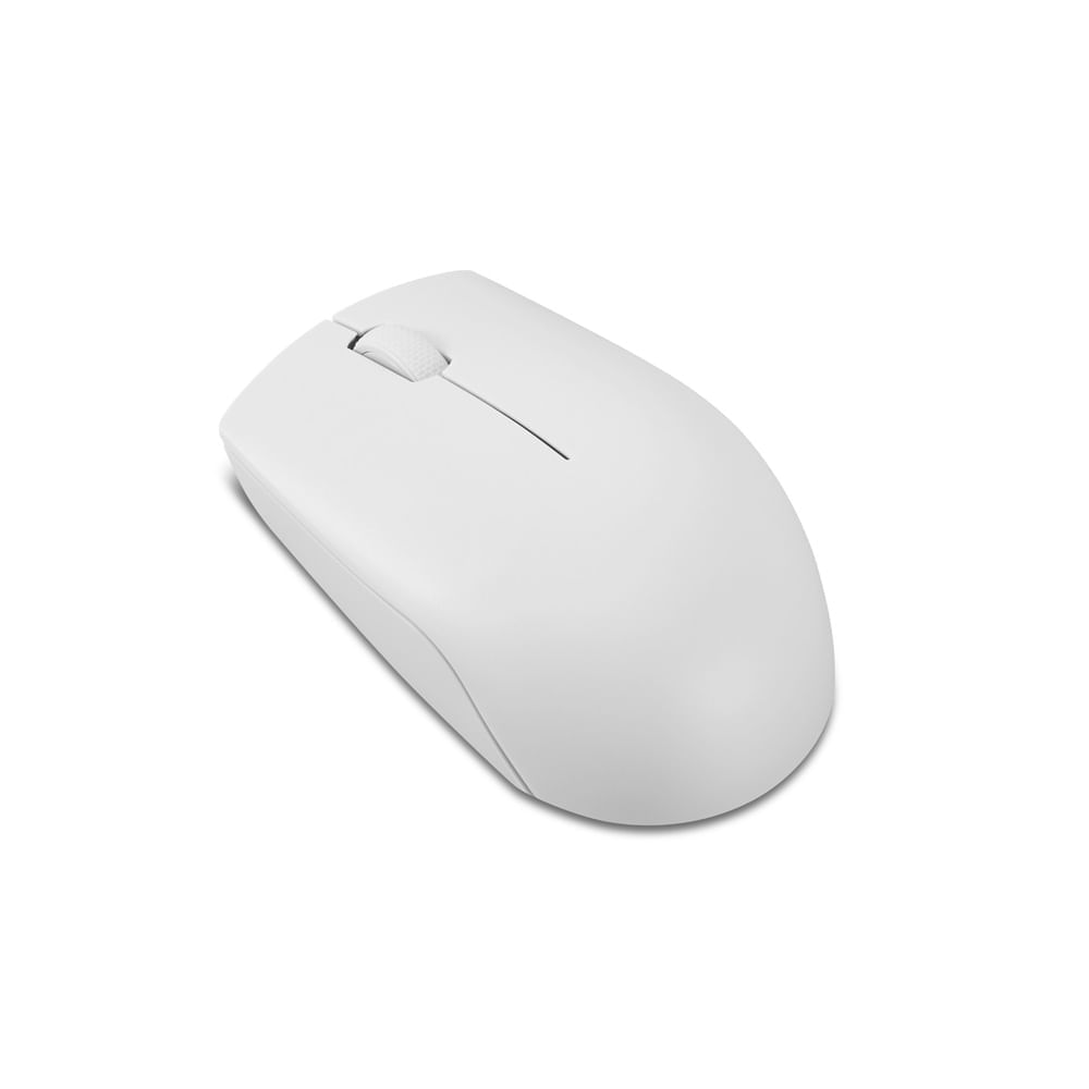 Mouse Lenovo 300 Wireless GY51L15686 Gris